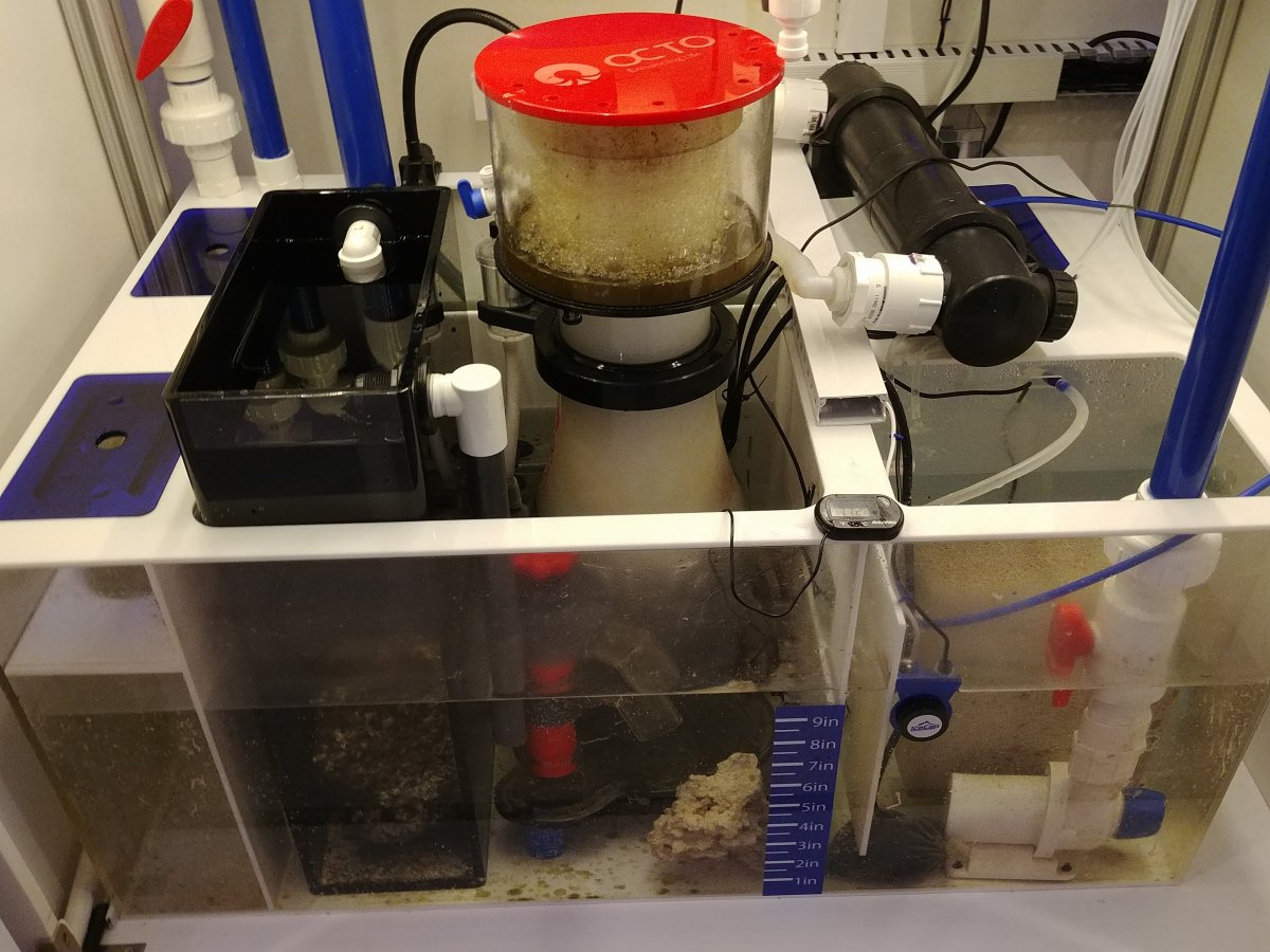 My review of IceCap 36XL sump. | Reef2Reef