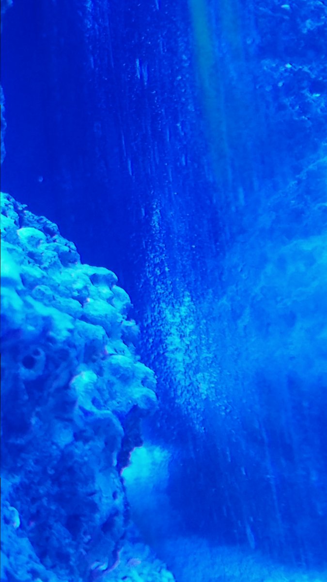 1024181040.jpg