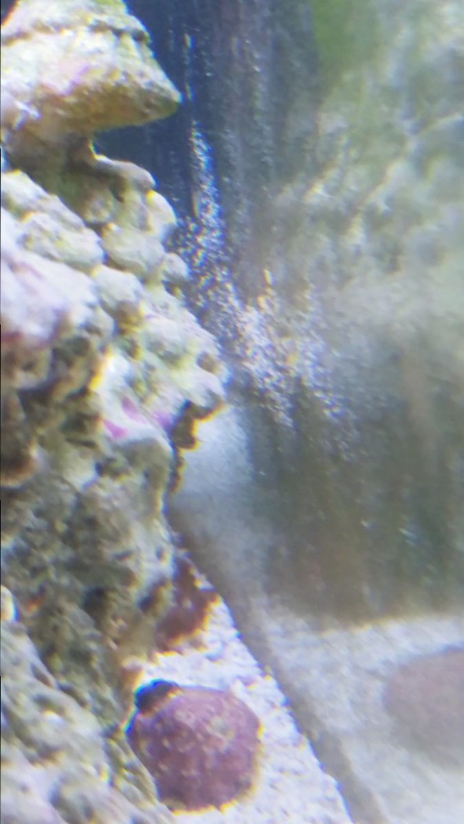 1024181608.jpg