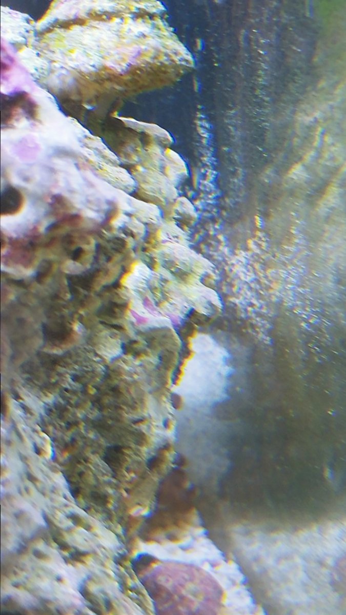 1024181608a.jpg