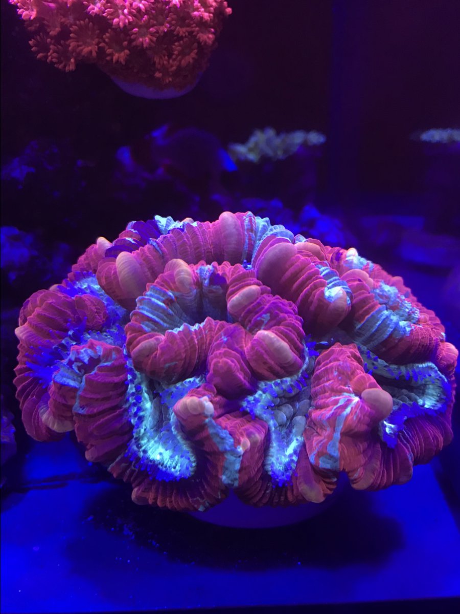 10409885-222A-4141-A7FA-C762CA79DDF8.jpeg