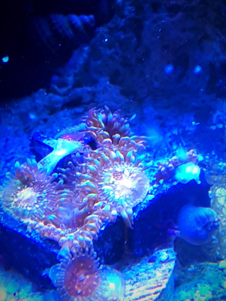 105B54C8-1CA2-4424-A0DB-6D4405EA33F9.jpeg