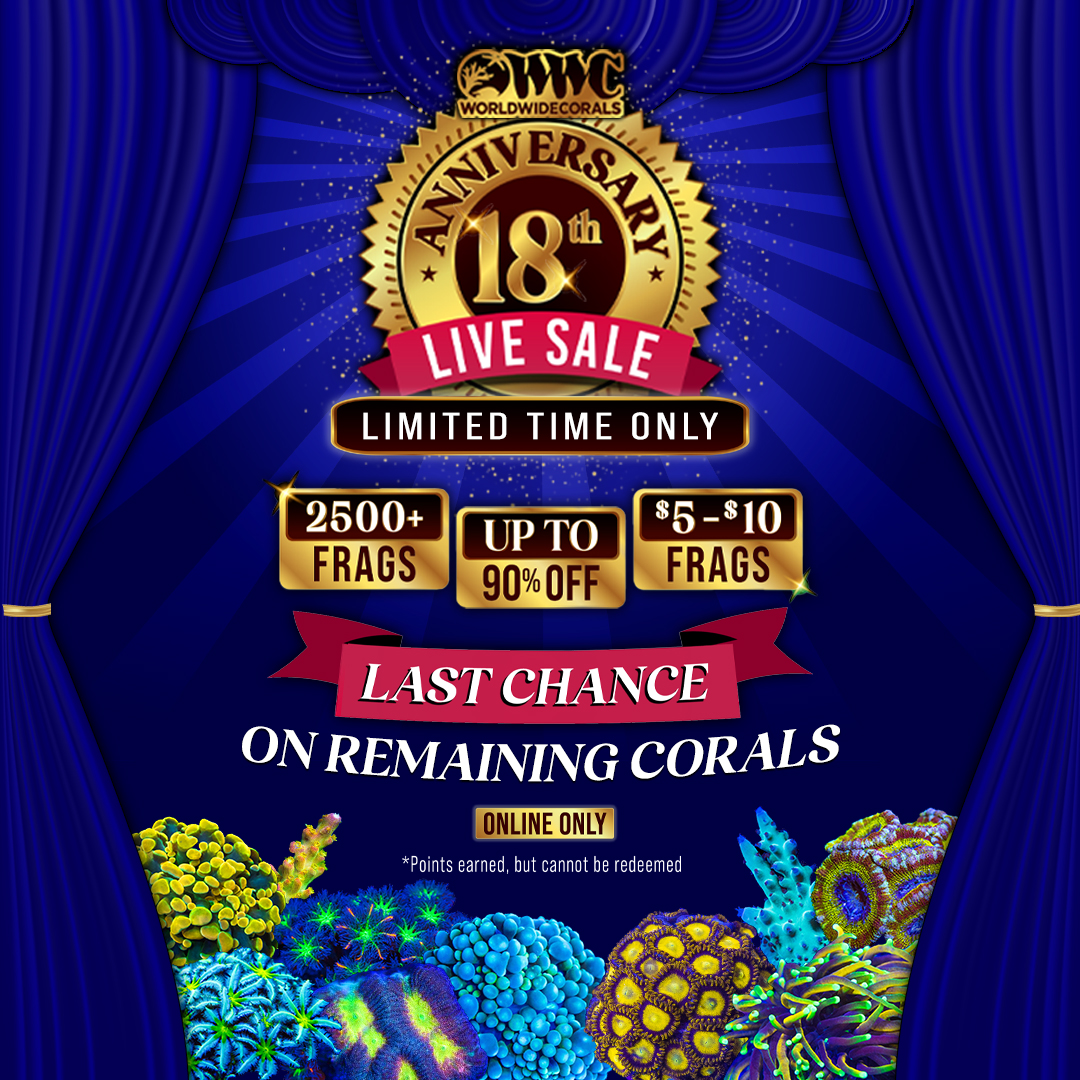 1080x1080-LAST-CHANCE.jpg