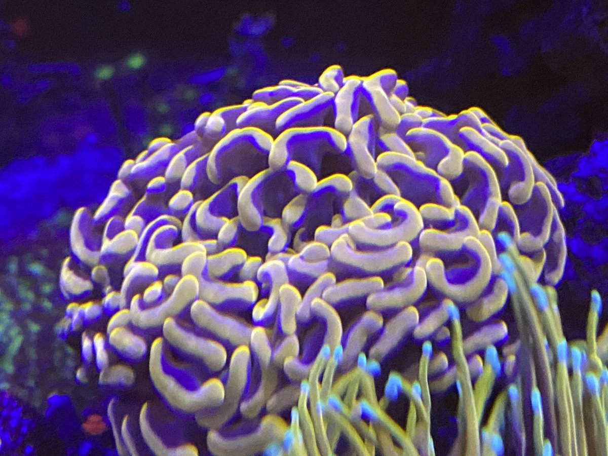 10EF37AD-B80E-4FE5-81E3-2E4F6D0ECA4F.jpeg