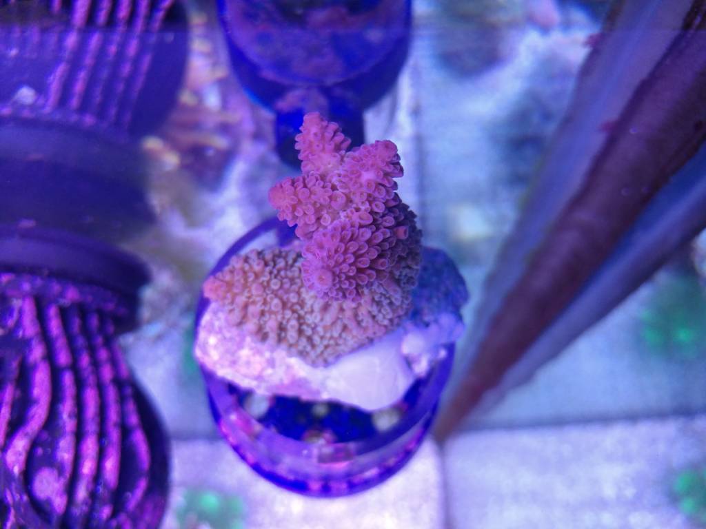 1108161932b.jpg