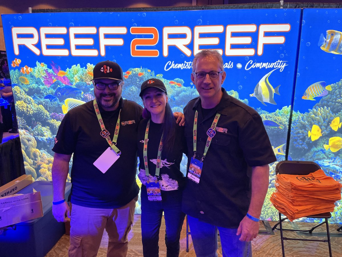 QUESTION OF THE DAY - Reef Year in review: What were the notable ...