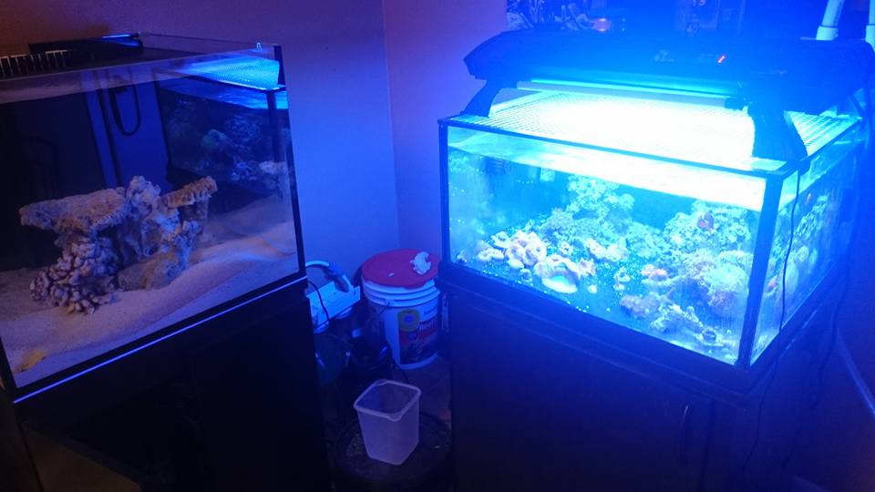 12-1-15.jpg