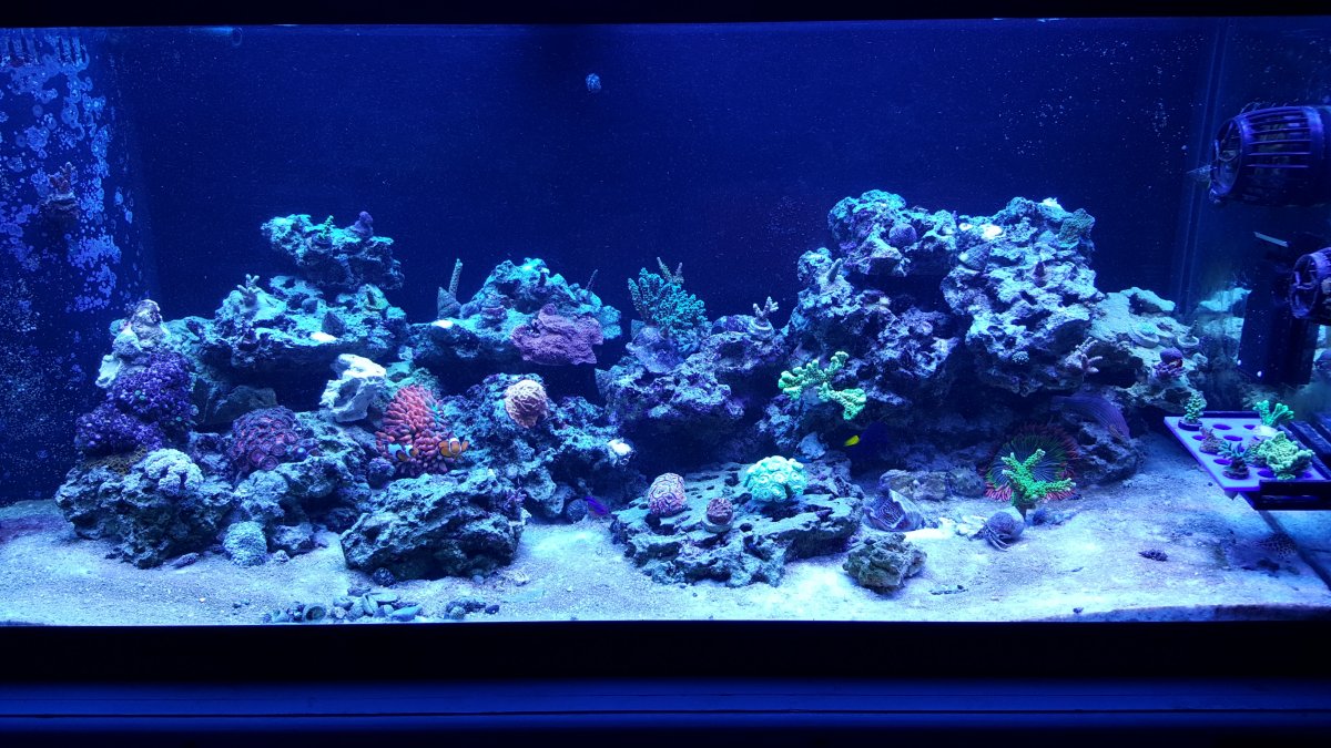 12-7-16.jpg