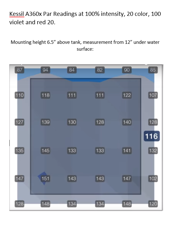 12 inch kessil.png