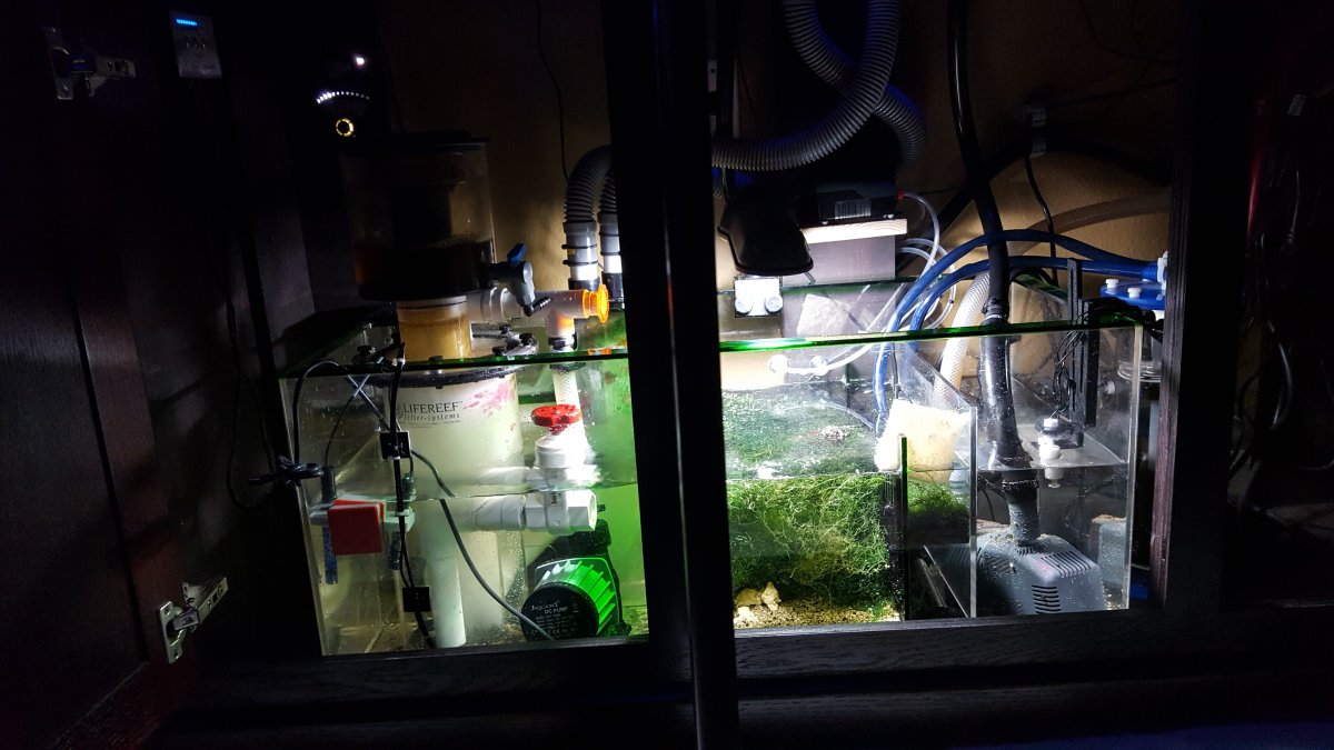 120 sump.jpg