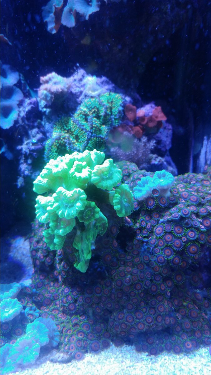 1203181116a.jpg