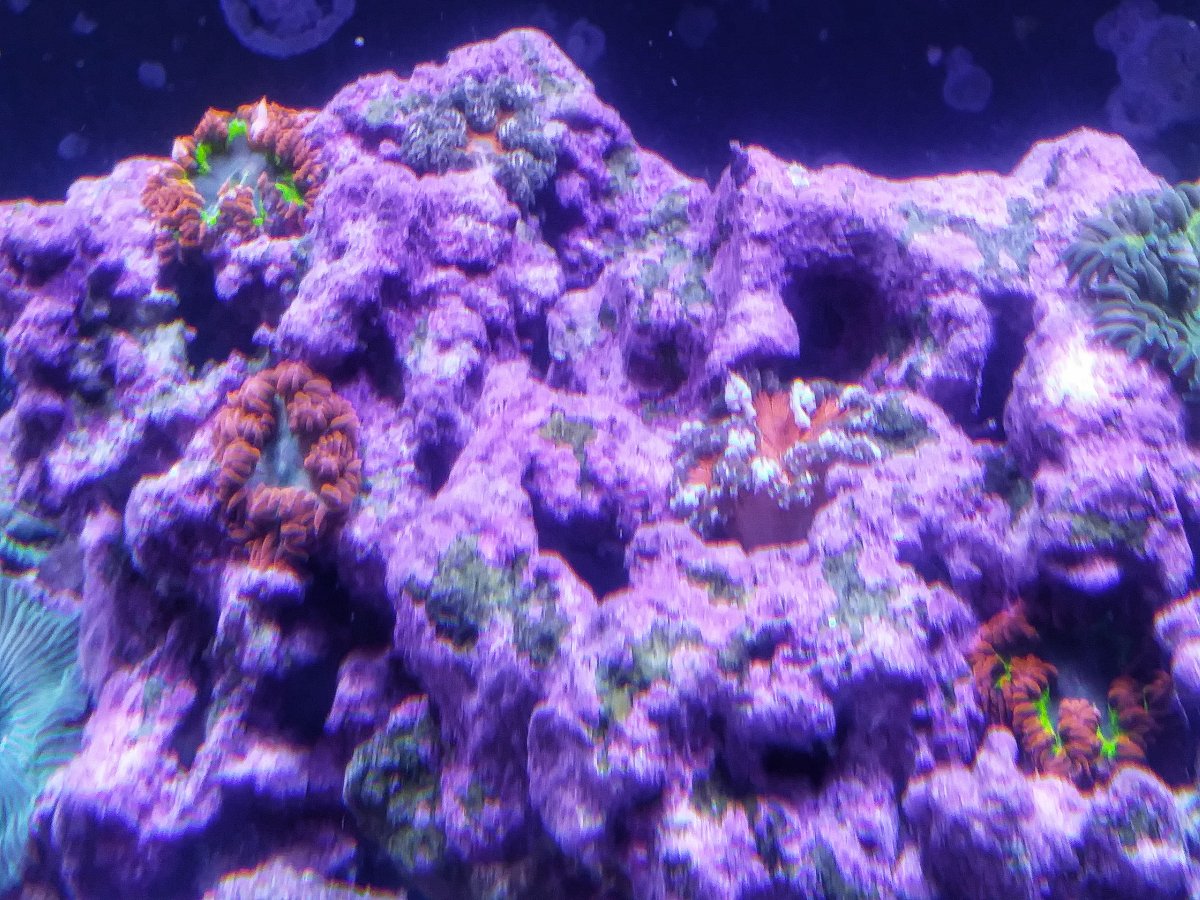 1206181504-01.jpeg