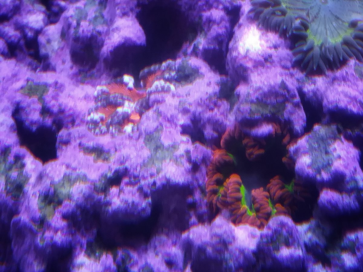 1206181600a-01.jpeg