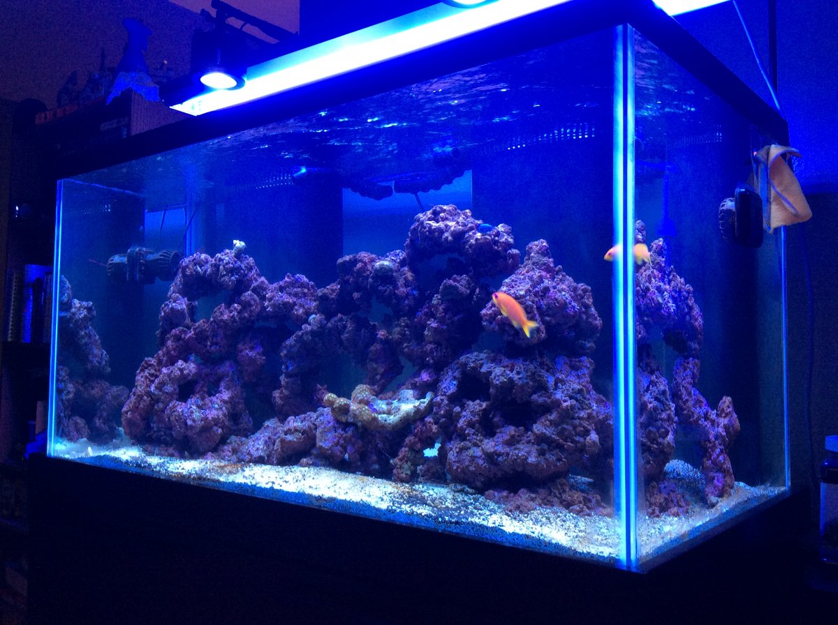 120gallon.JPG