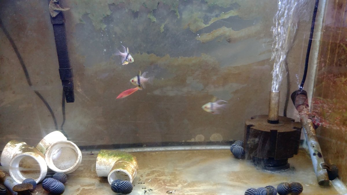 1218191553_HDR.jpg