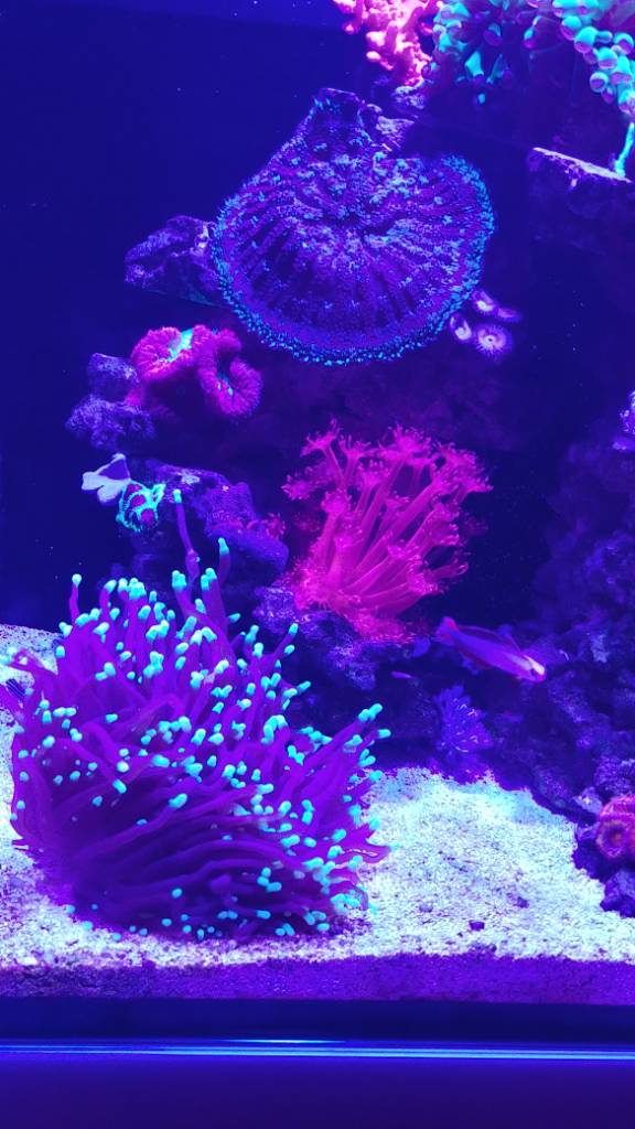 1227181611_HDR.jpeg