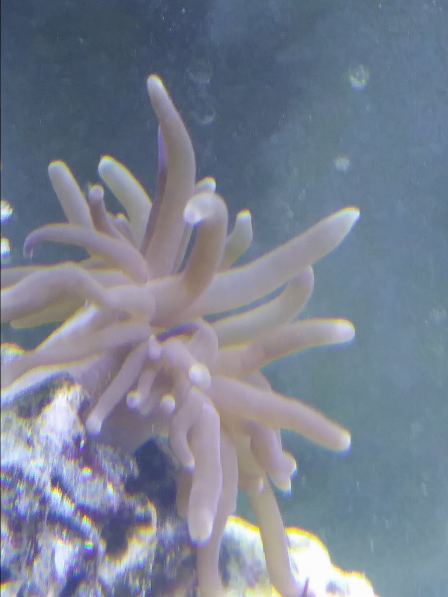 1228181441a.jpg