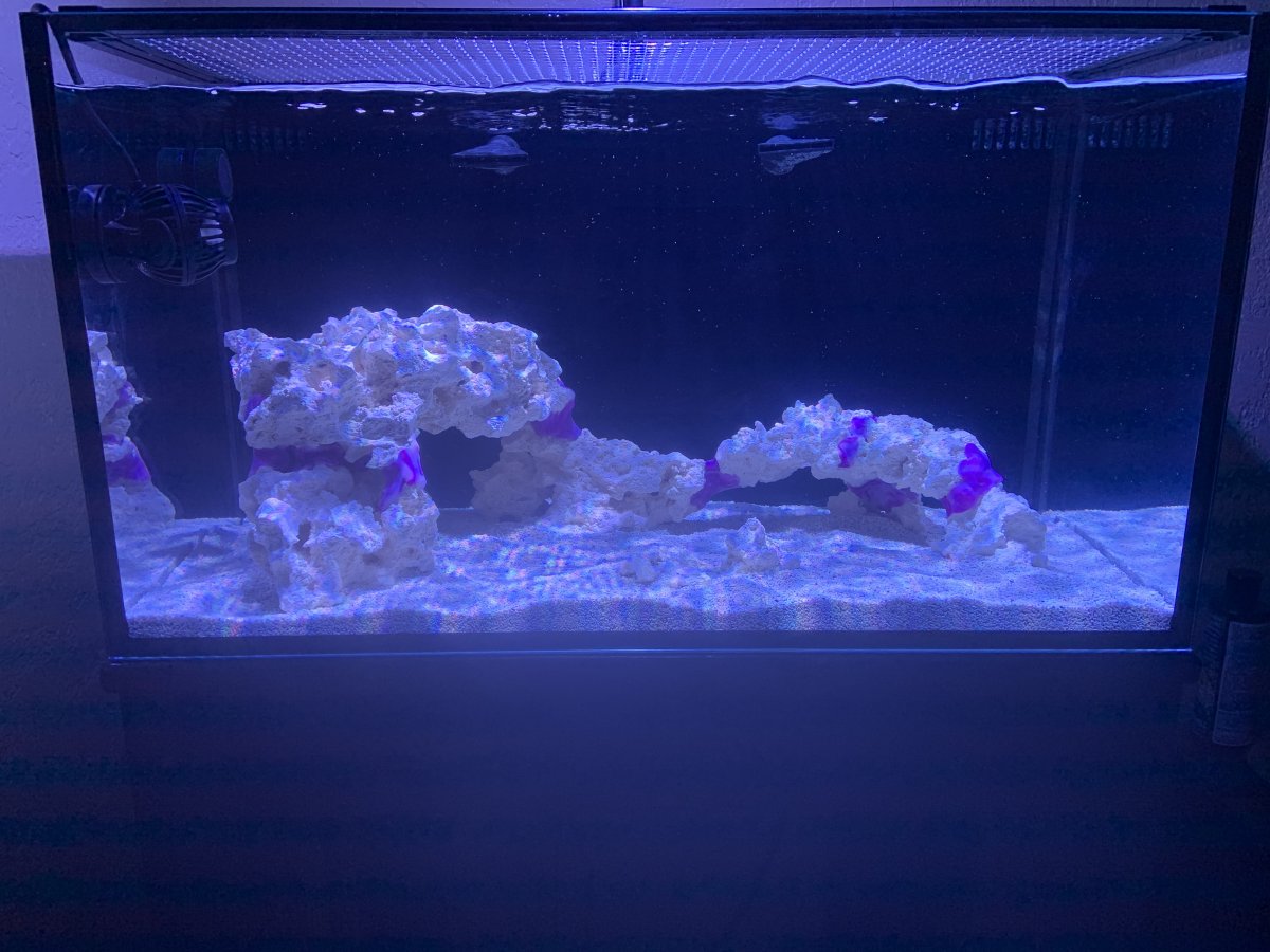 48 inch aquarium clearance light