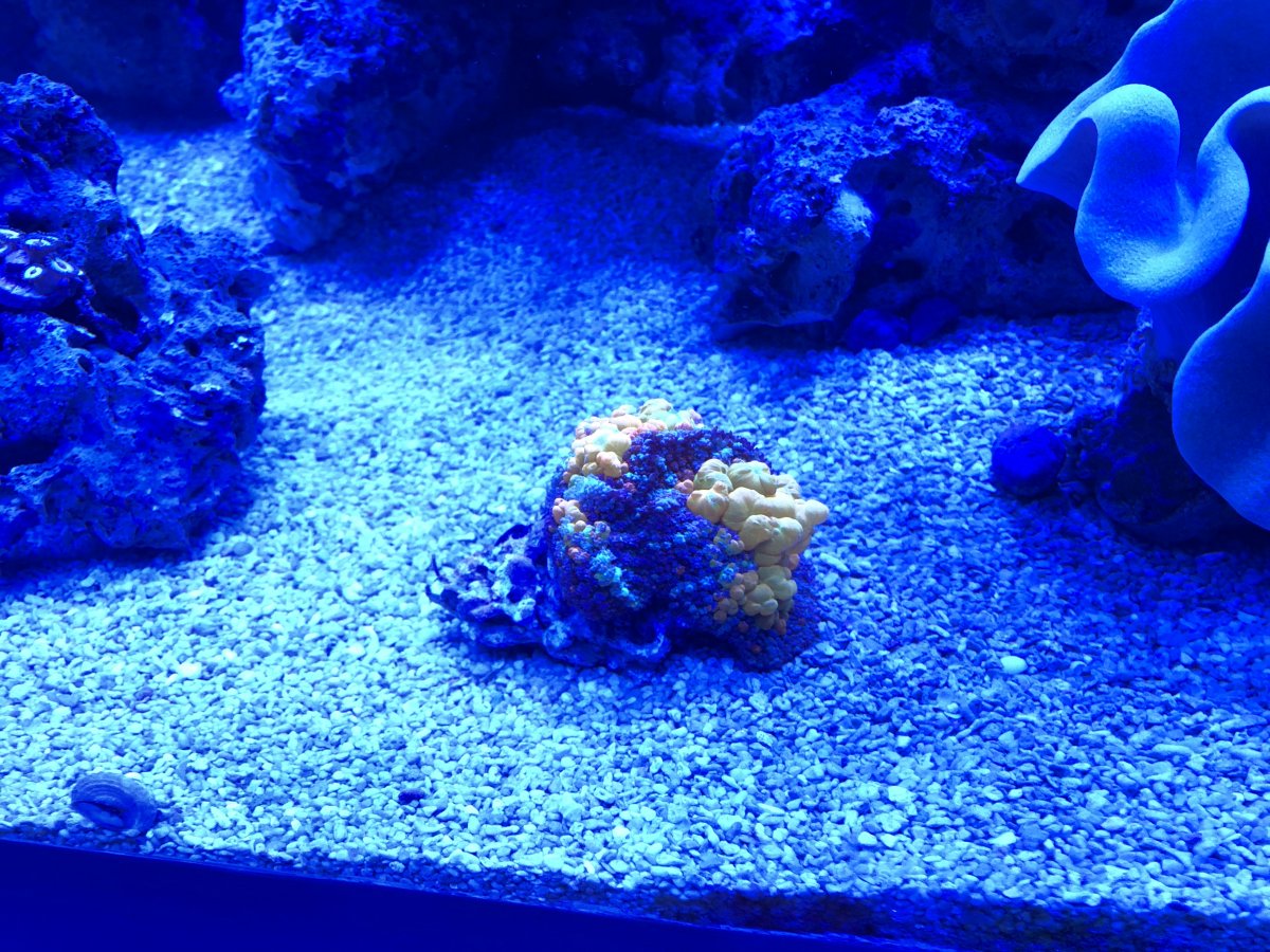 12B7FF79-195B-4D9C-9DEC-BDF09E663F71.jpeg