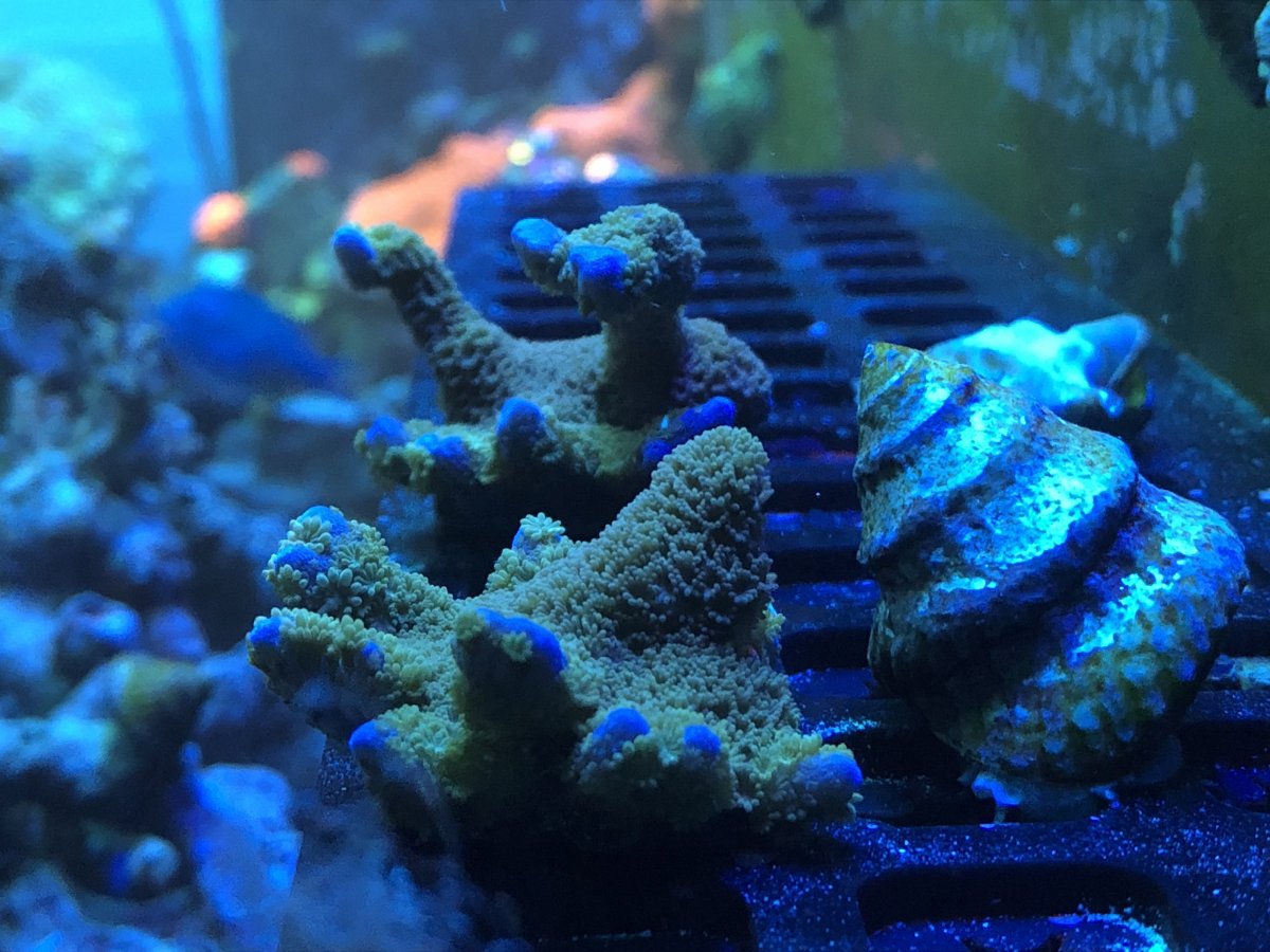 12D0539C-A776-4AED-964E-8DF95A0CCC03.jpeg