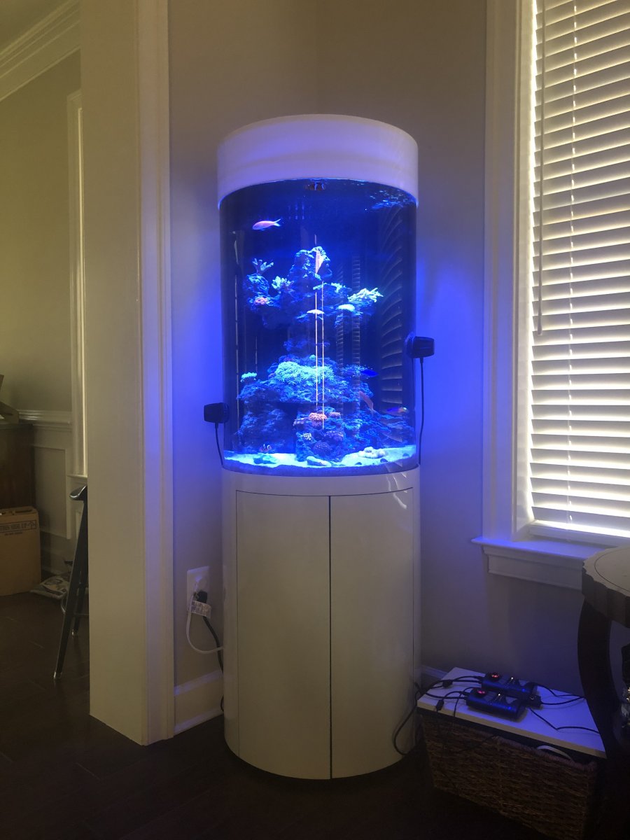 Custom Large Fish Tank Good Glass Aquarium Far Superior to Acrylic