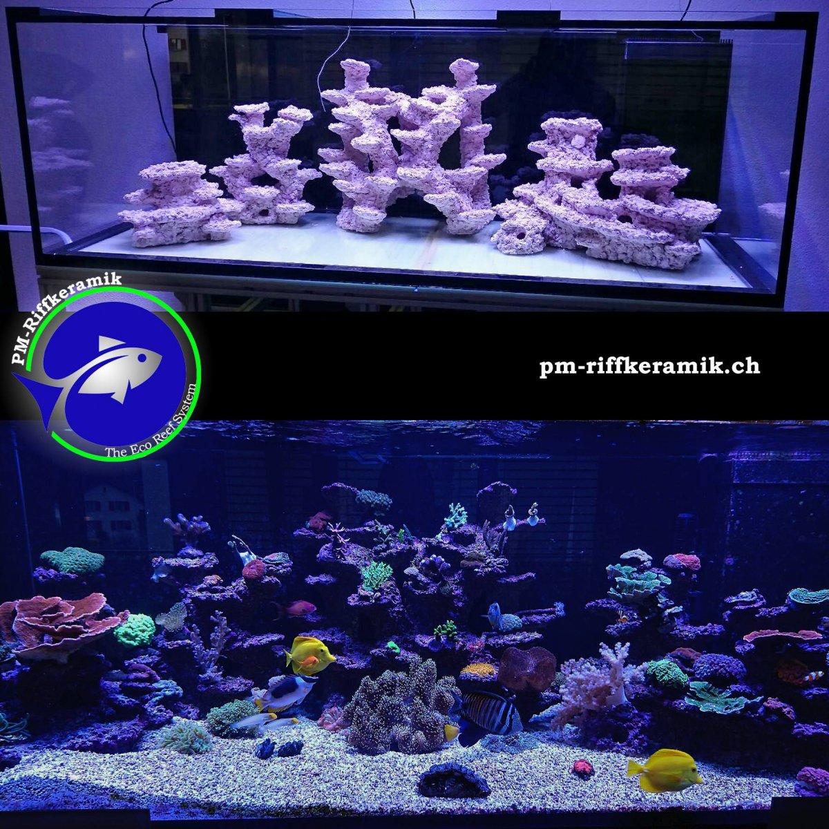 Anyone Decorate Their Tank With Ornaments Reef2reef Saltwater