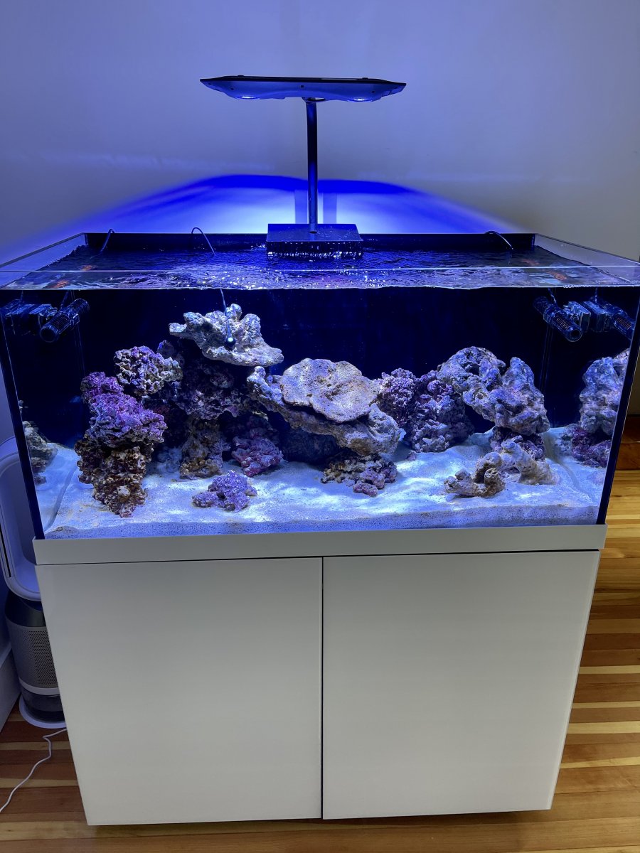 Kessil ap9x PAR readings seem low REEF2REEF Saltwater and Reef