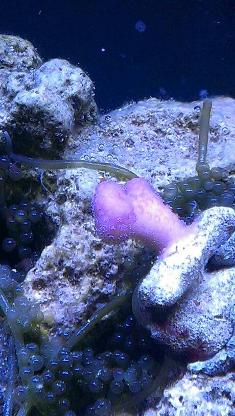 1380660147990.jpg