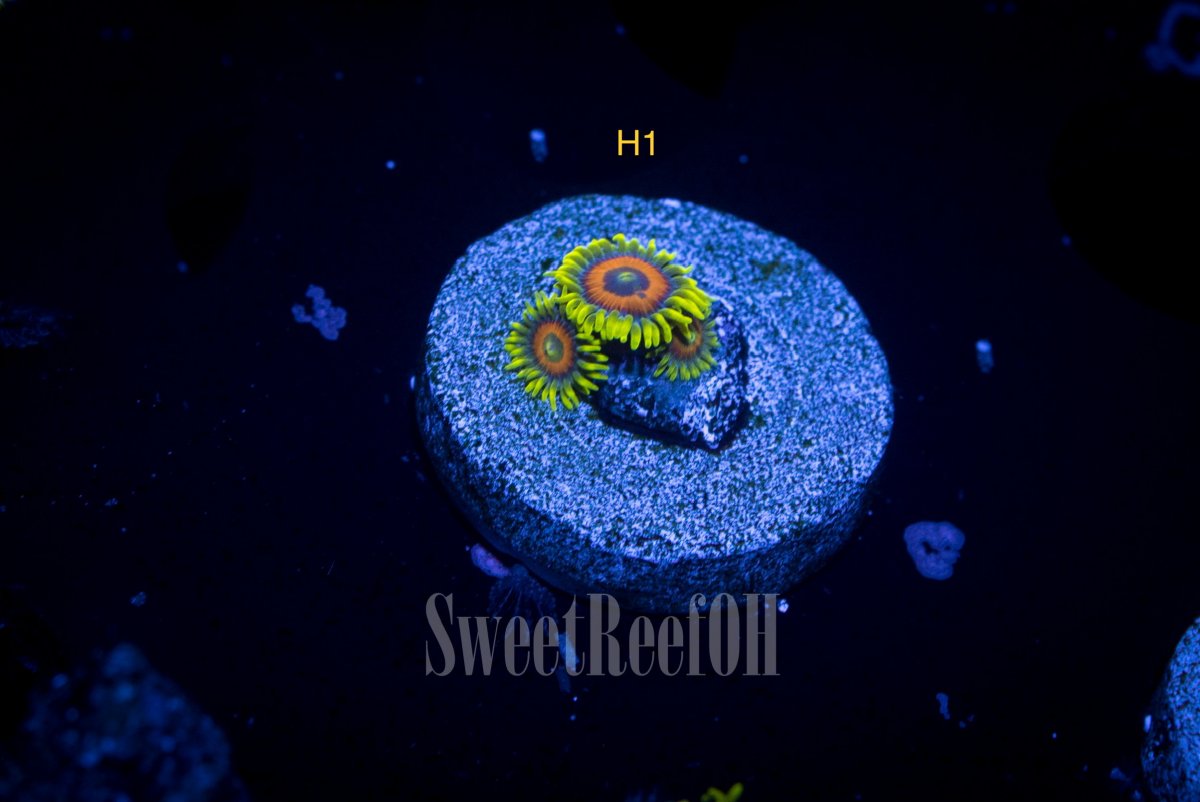 13869D6E-C042-4A64-BE4A-37DD7B200215.jpeg