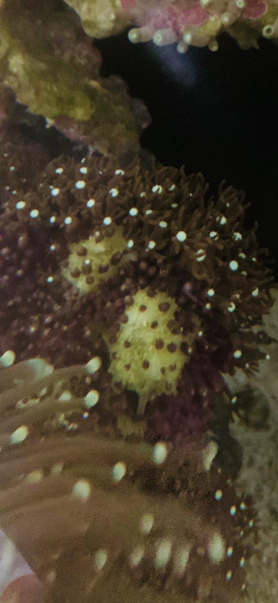 13A754F6-D3A7-42DE-BFAD-EC803CC75DB9.jpeg