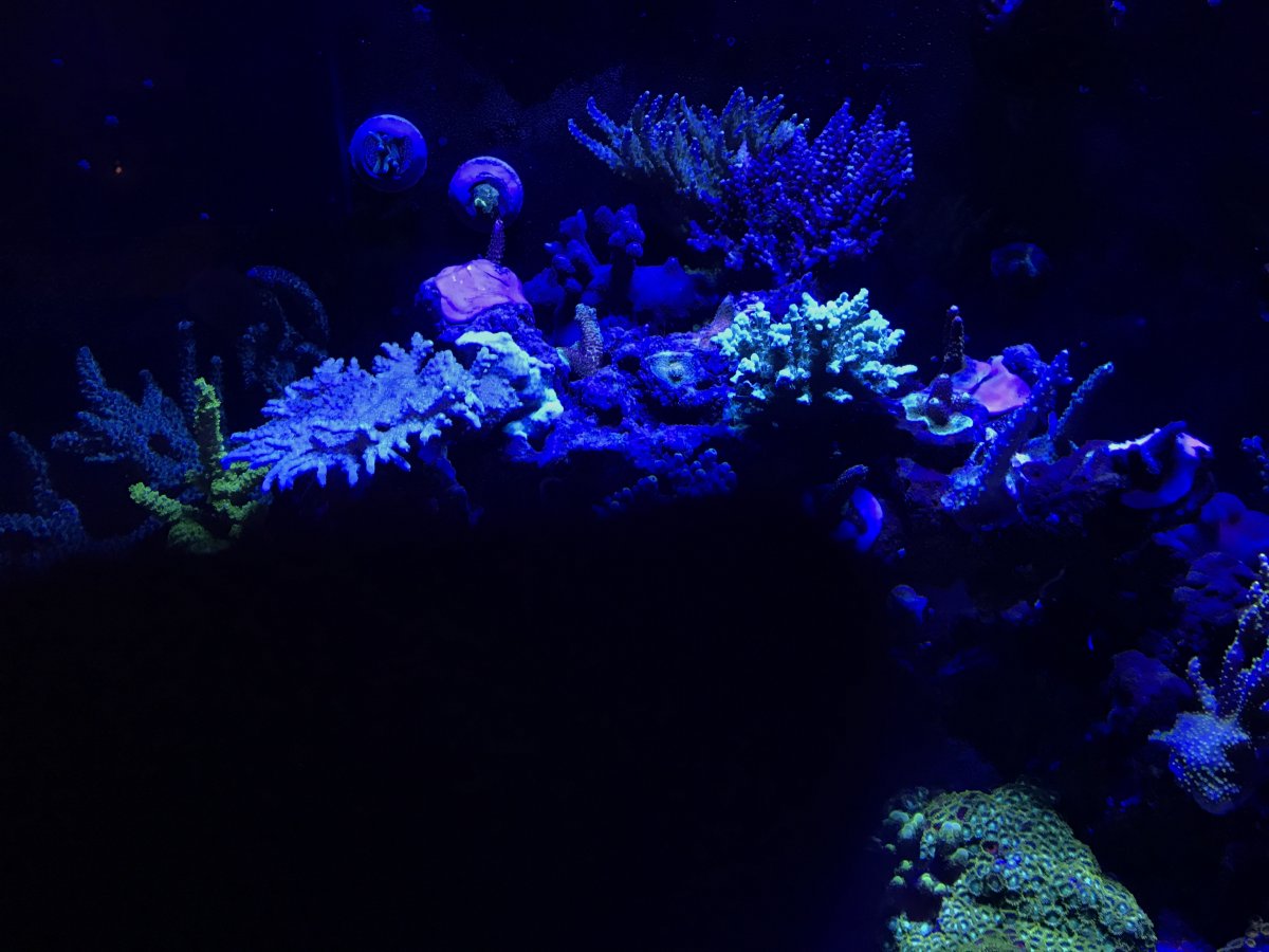 142AB8F4-5A8D-42E1-B2B8-3A68294EA4E5.jpeg