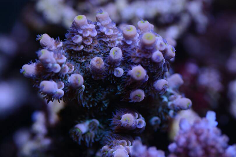 1430631798652.jpg
