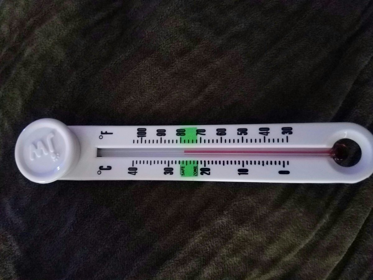 1481993968786.jpeg