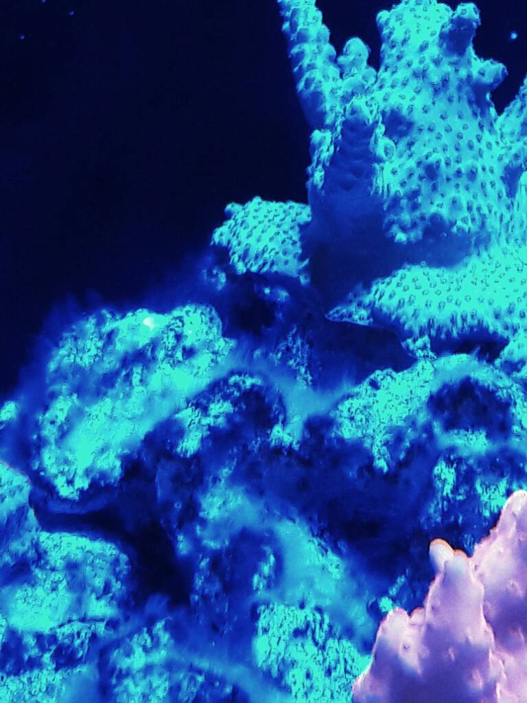 1482859508530.jpg