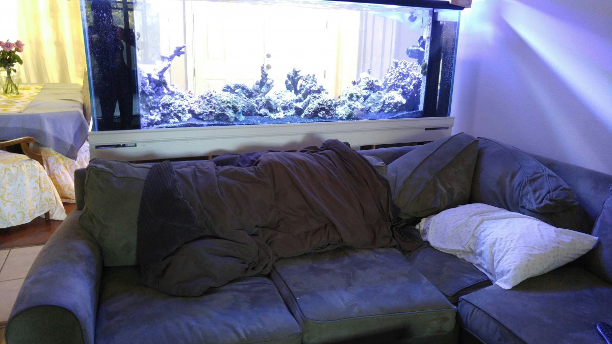 1487283756970.jpeg