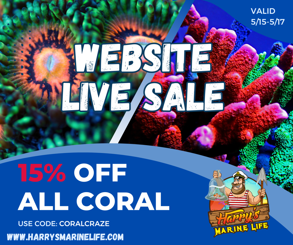 15% off all coral.png