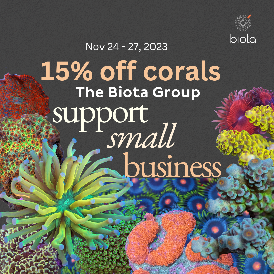 15% off corals (1).png