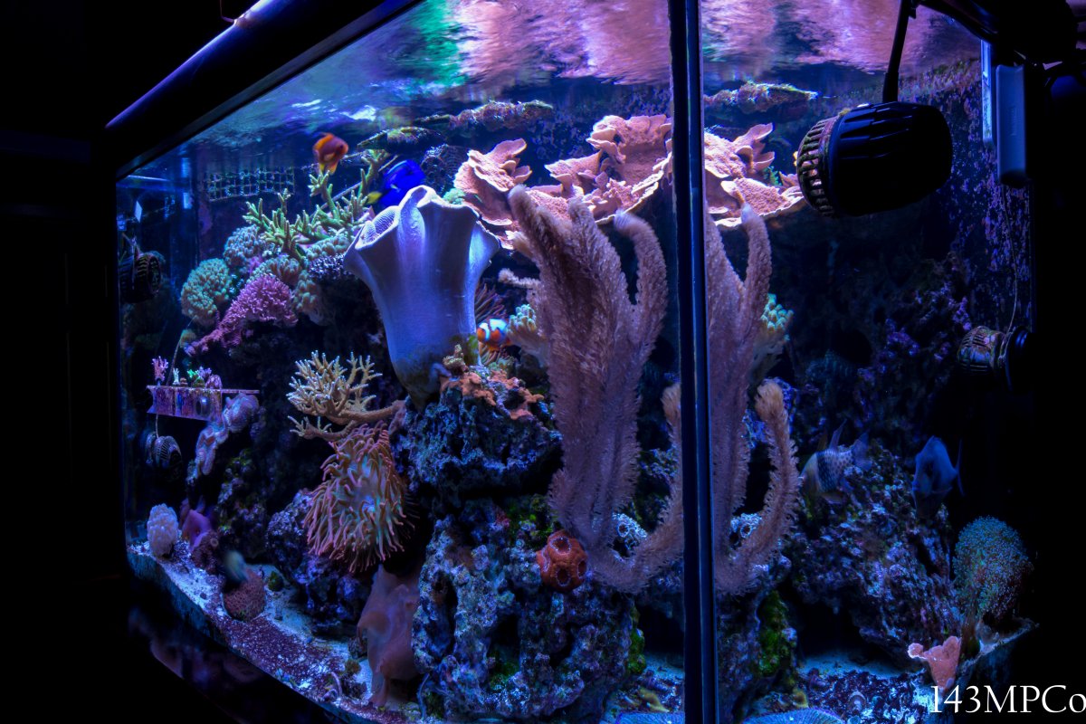150g-3.jpg
