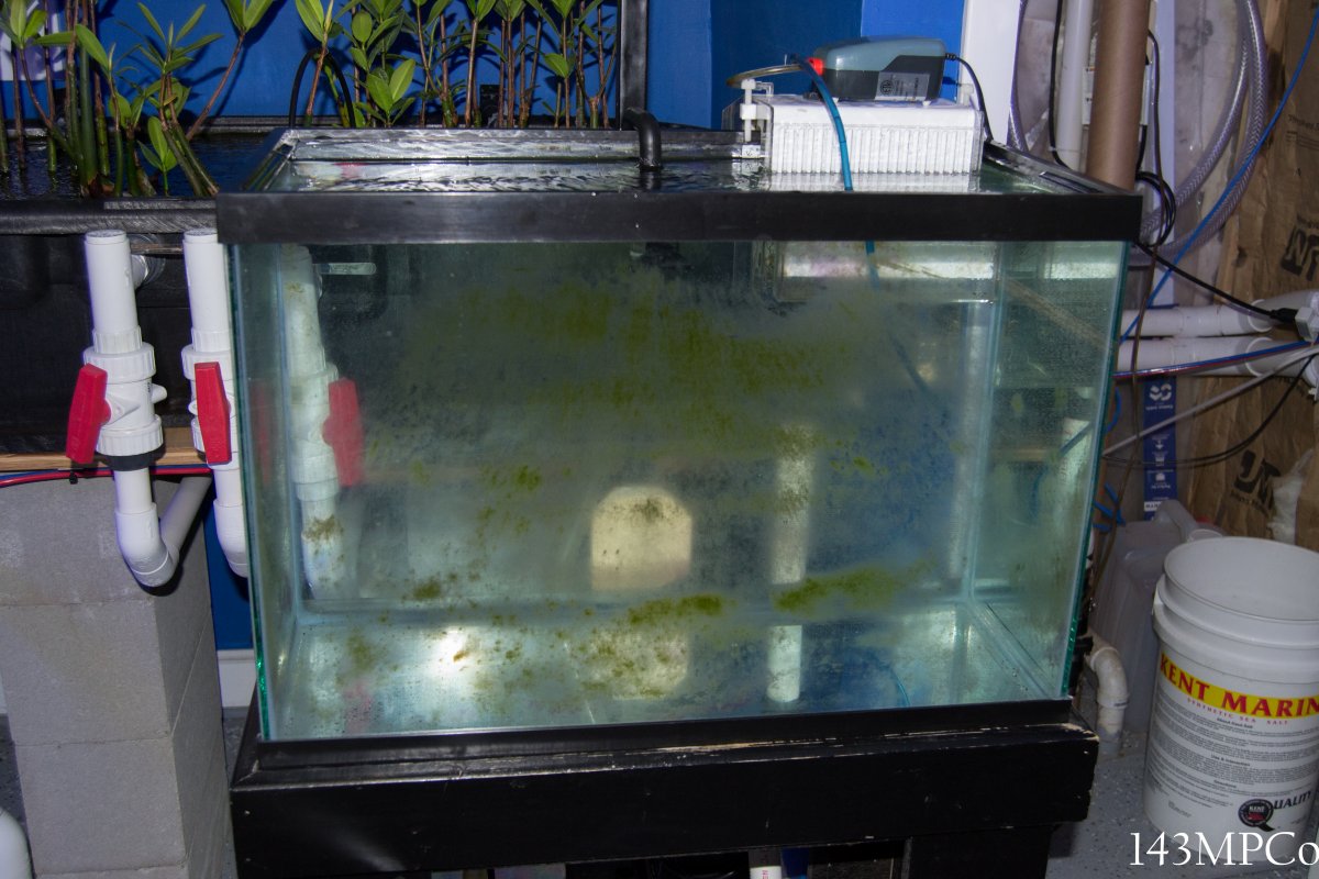 150g-39.jpg