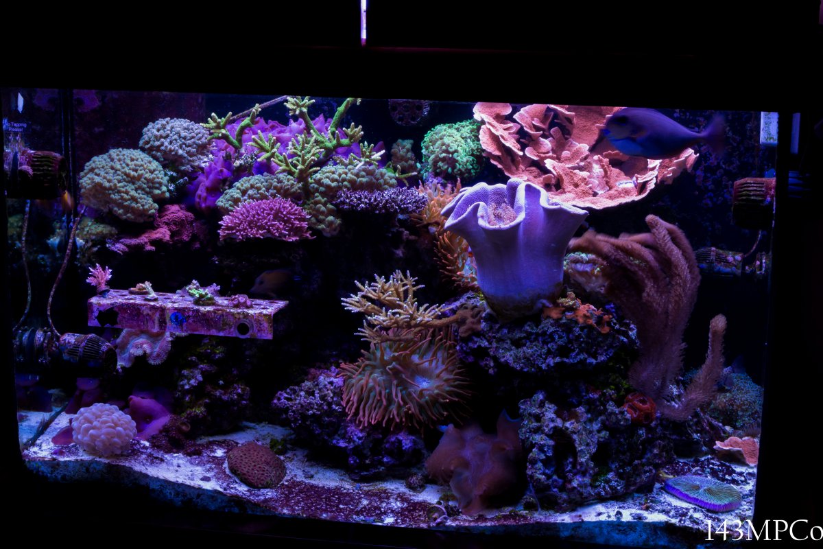 150g-6.jpg