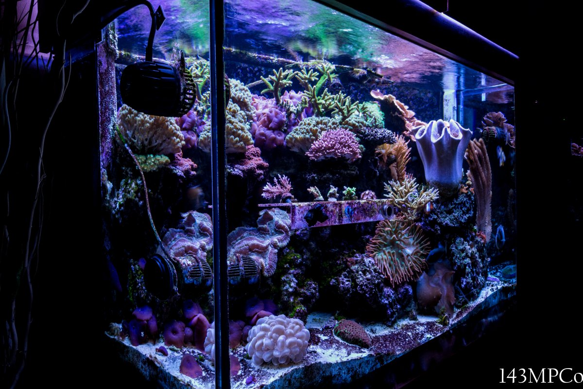 150g-8.jpg