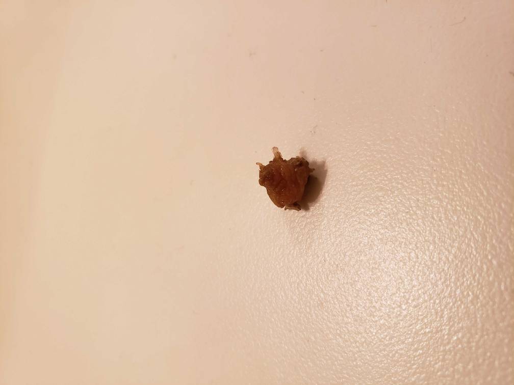 1543104809204.jpeg