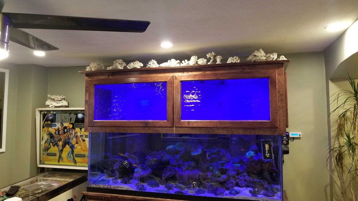 180 canopy hardwood with stained glass doors. REEF2REEF Saltwater and