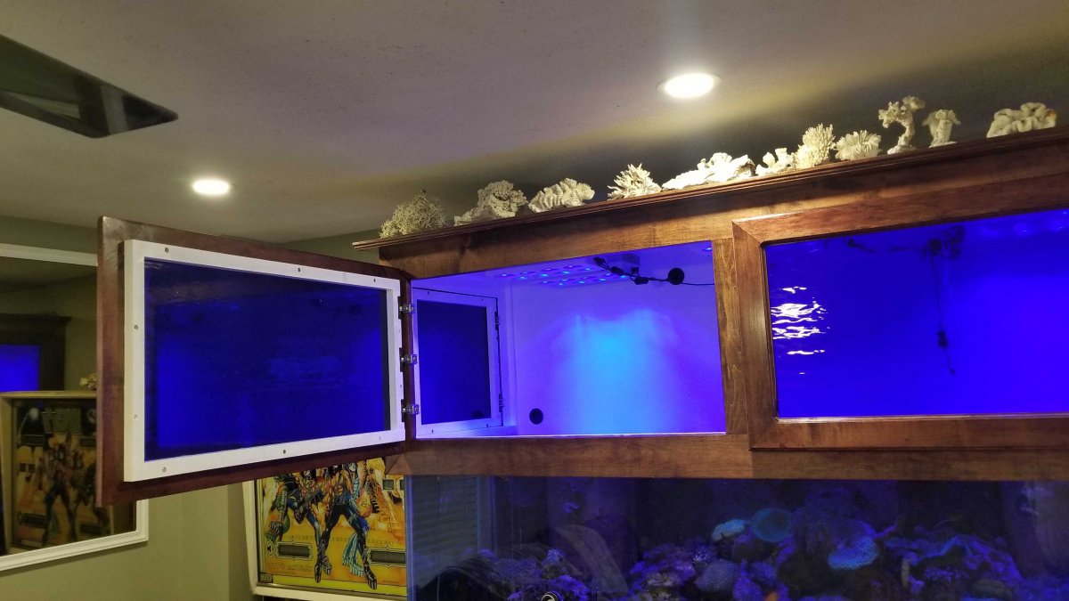 180 canopy hardwood with stained glass doors. REEF2REEF Saltwater and