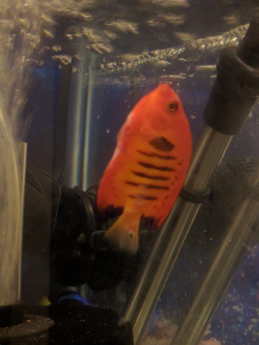 15518d230c1845766e1.jpeg