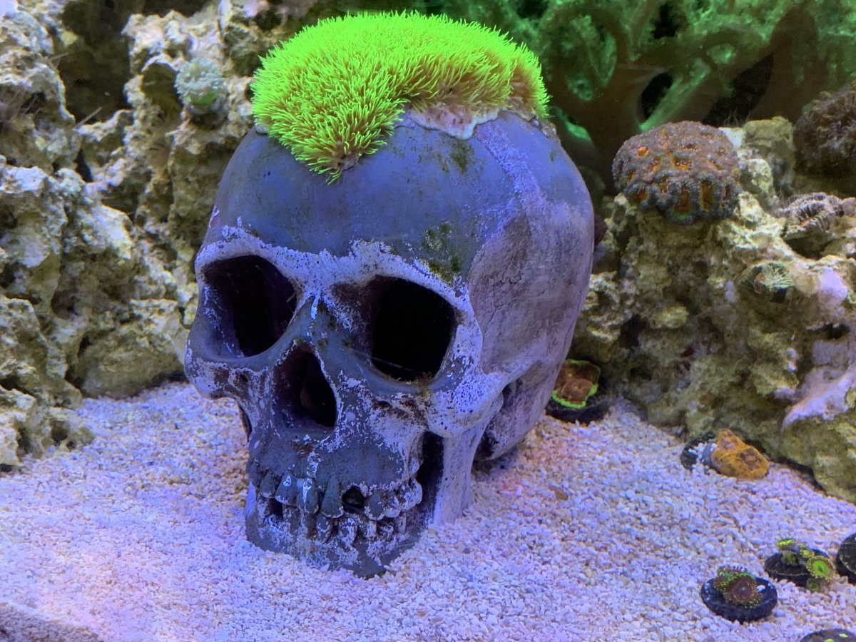 155EC3F1-86F5-471E-9D7F-6D4530FD7AA3.jpeg