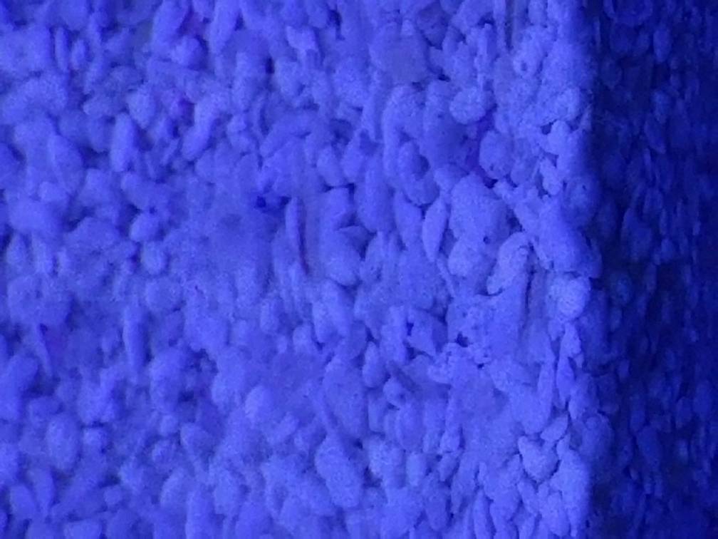 1560907785338.jpeg