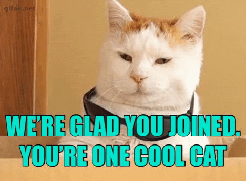 1565131293689.gif