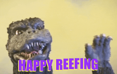 1565746079691.gif