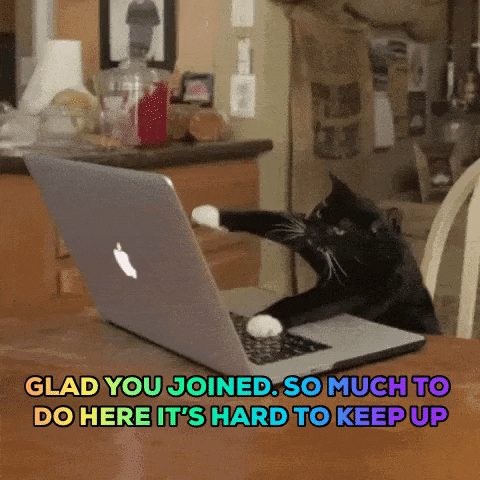 1566432007152.gif
